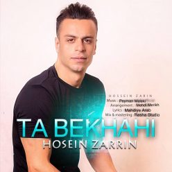 دانلود آهنگ حسین زرین تا بخواهی